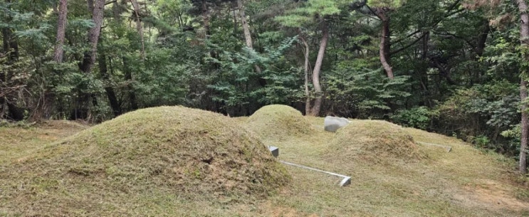  울산 중구 장현동 산52-1 봉분4기 80평 벌초제초대행("울산벌초대행")