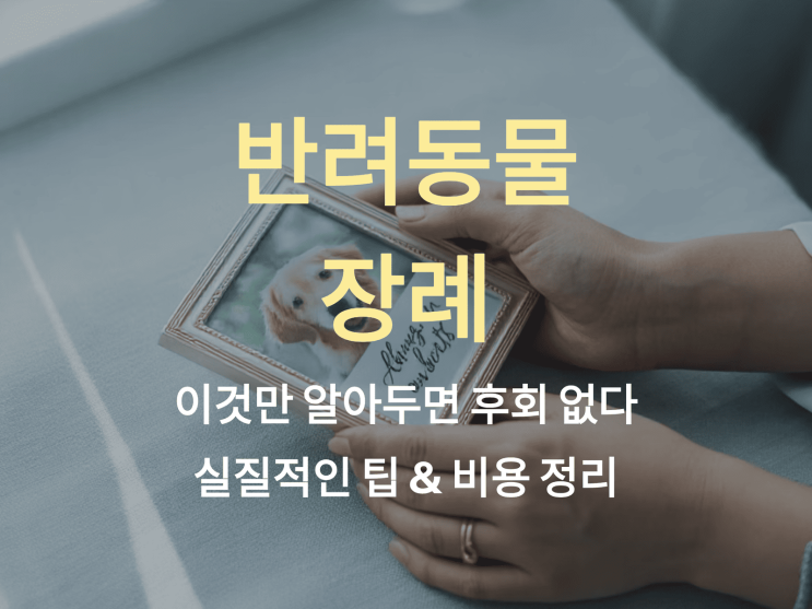  반려동물 장례, 이것만 알아두면 후회 없다: 실질적인 팁 & 비용 정리