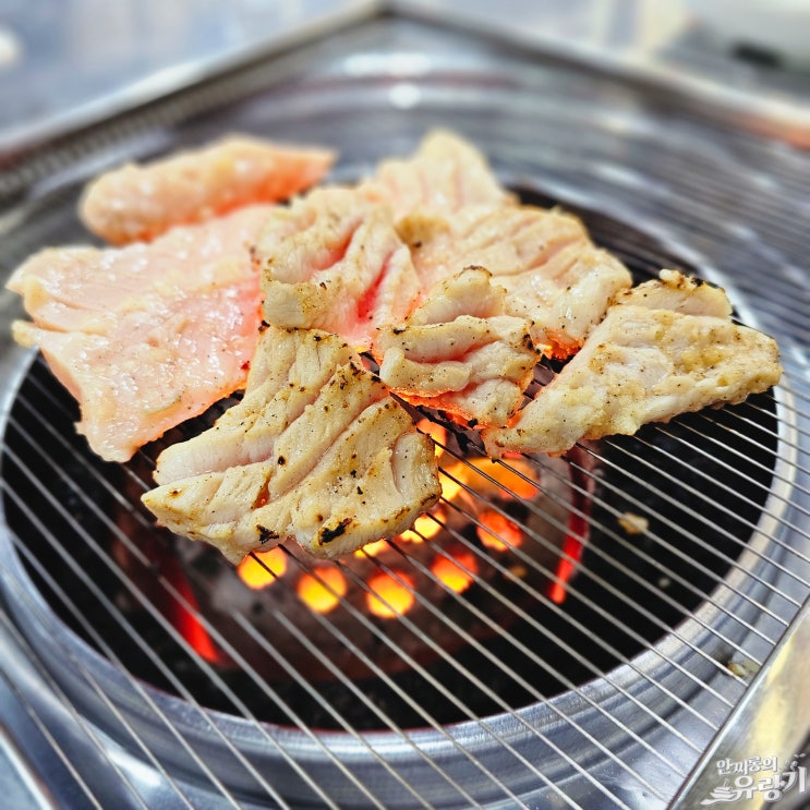  부산 양곱창 맛있는곳 자갈치양곱창 몬도가네 특양 연탄구이
