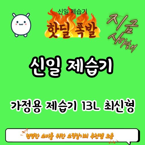 [광고] 장마철 곰팡이·습기 해결! 가정용 제습기 추천 | 신일 제습기 13L 최신형