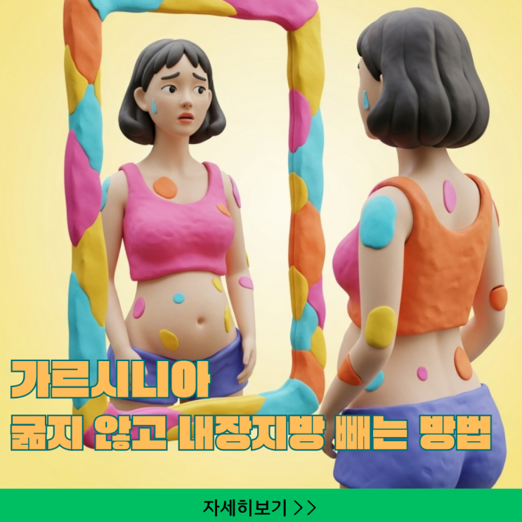  굶지 않고 내장지방 빼는 가르시니아 특급 비법, 마른비만 식단 포함