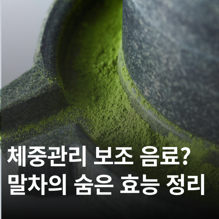  말차 코어 트렌드 커피 대신 먹으면?