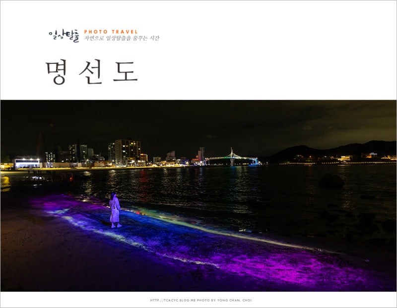 사진 7
