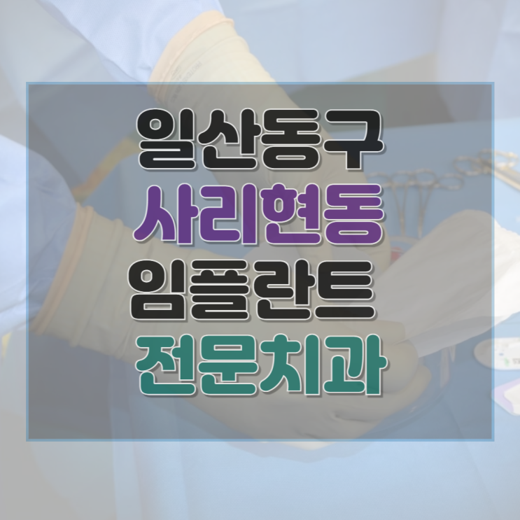  고양시 일산동구 사리현동 치과 임플란트 종류 가격 및 실제 후기 총정리