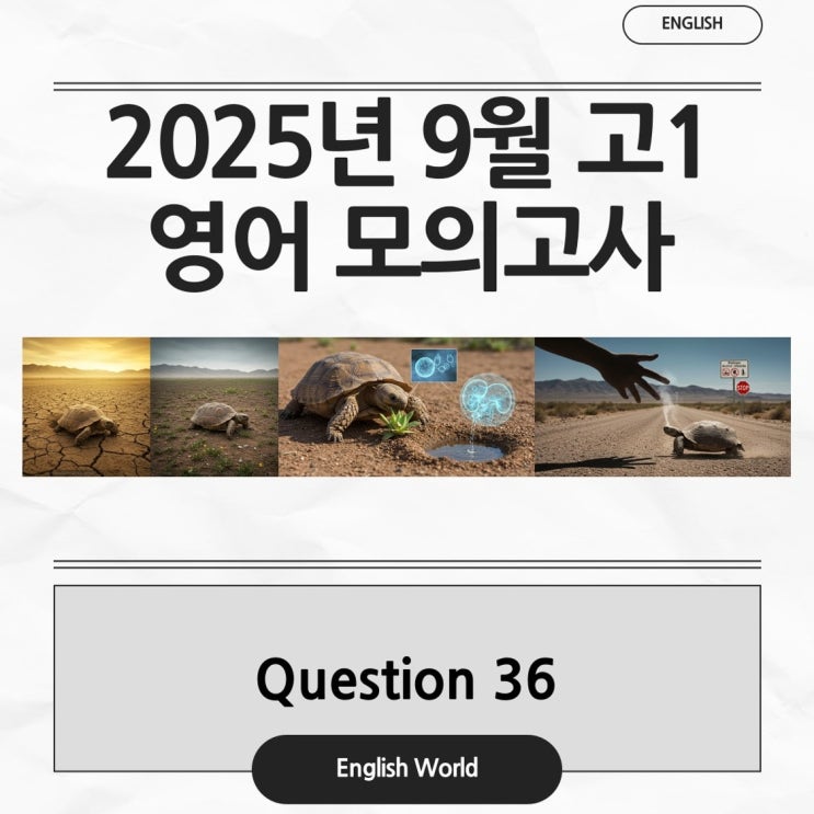  25년 9월 고1 영어 모의고사 36번 분석 변형 문제 사막 육지거북