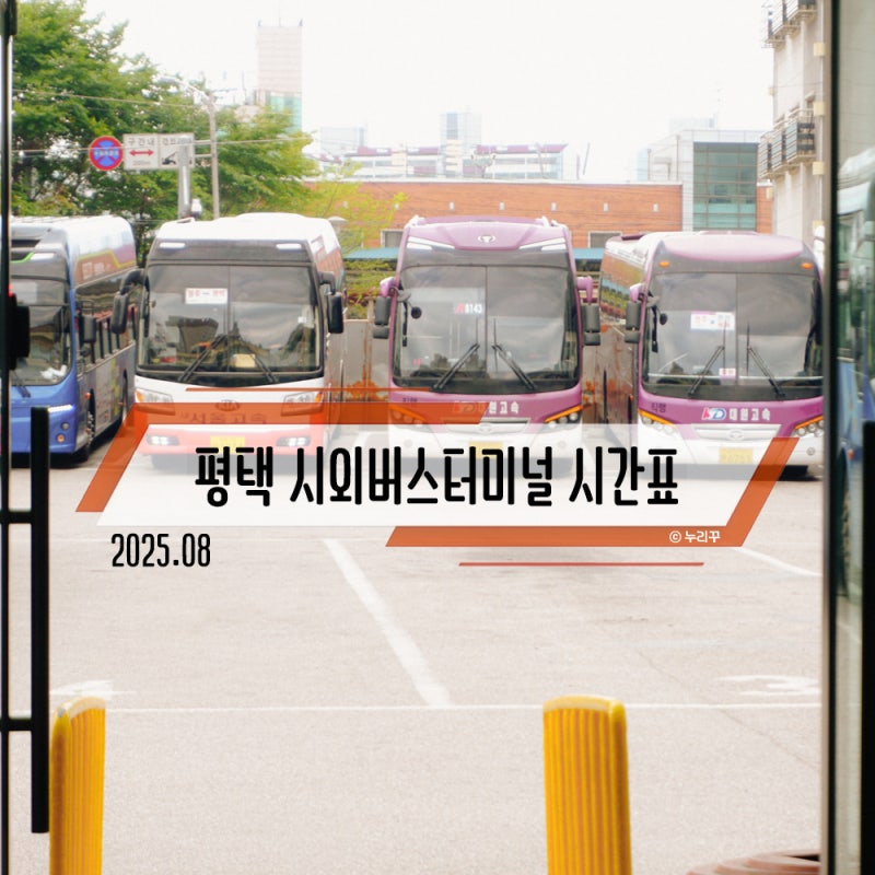 평택에서 인천공항 T1 T2 가는법 (송탄, 지제) 요금 리무진버스 시외버스터미널 시간표 2025