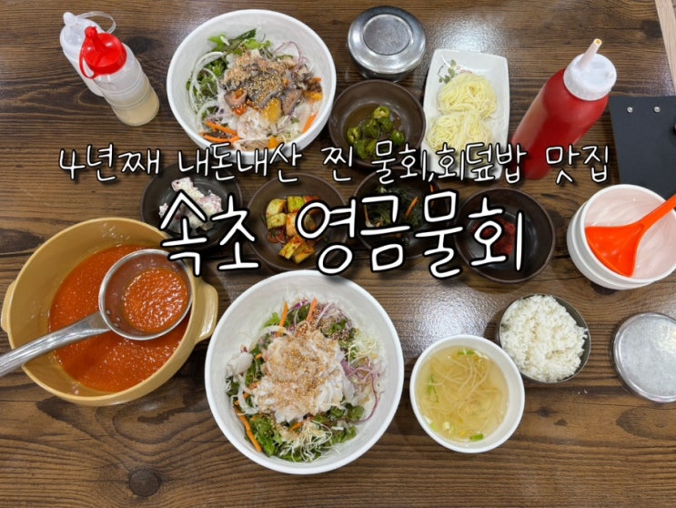  속초 동명항 맛집 영금물회 영금정 데이트 코스로 추천
