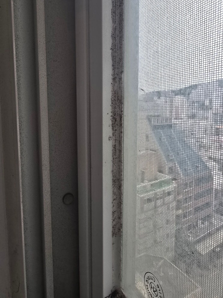 부산연산동입주청소 세균, 곰팡이 out! 쾌적하고 건강한 집 만들기