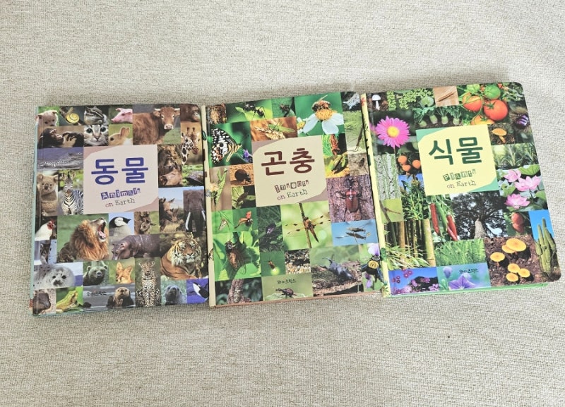 블로그 후기 사진