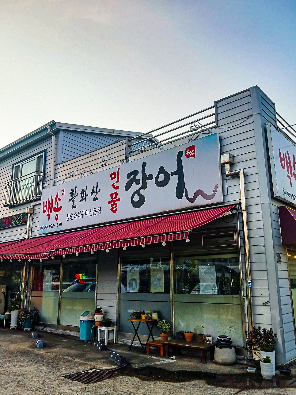 백송활화산민물장어 사진 1