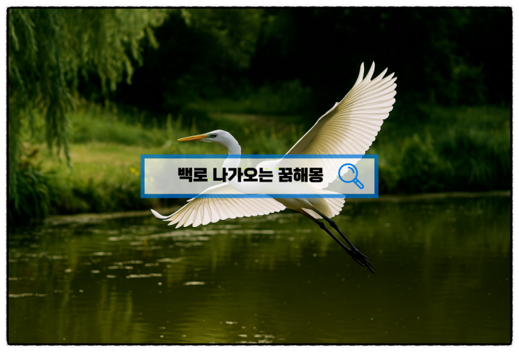  [무료꿈해몽] 백조와 백로 꿈해몽 당신에게 전하는 행운과 경고