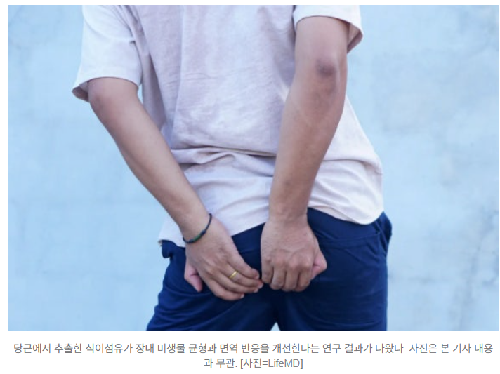   당근에서 나온 식이섬유, 장 건강·면역력까지 챙긴다