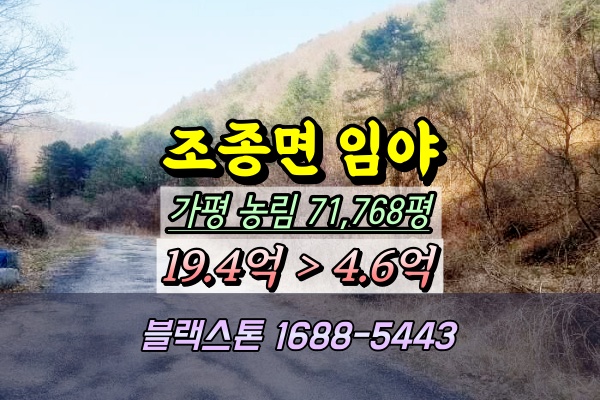  가평군 조종면 임야 경매 대보유원지 7만평