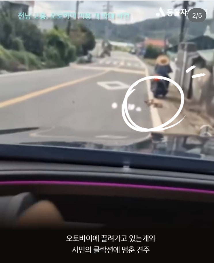 오토바이 끌려 3km질주 피투성이 강아지 <b>동물학대 논란</b>