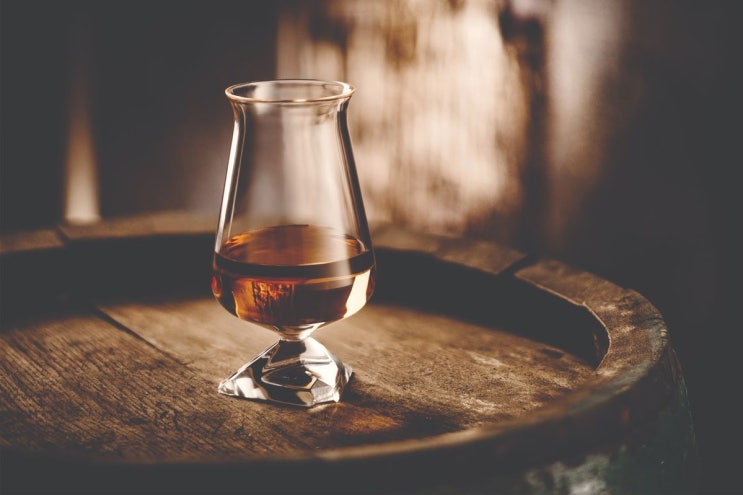  와일드 터키 (Wild Turkey Bourbon)
