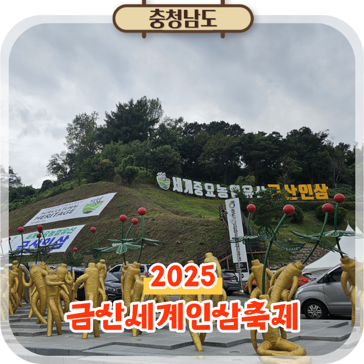  2025 금산인삼축제 방문후기 초대가수 일정 총정리
