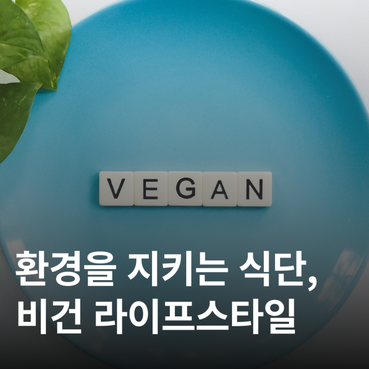  비건 식단 시작할 때 흔히 하는 실수 TOP 5