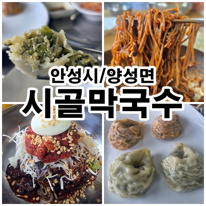  안성 양성면 시골막국수 물비빔막국수와 따끈한 만두 한상