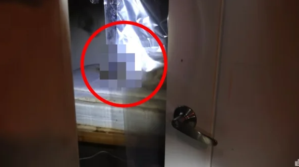  유튜버, 폐건물 체험 중 변사체 발견… 논란과 여파 