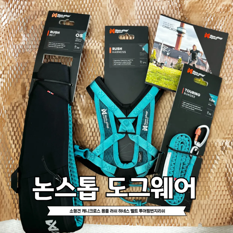 사진 4