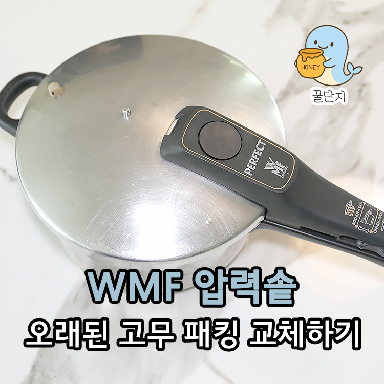 WMF 압력밥솥 패킹 교체 꿀팁 총정리