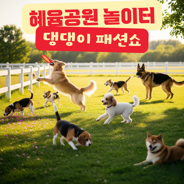  혜윰공원 반려견 놀이터 댕댕이 한마당 패션쇼 & 연수구 광견병 접종 안내