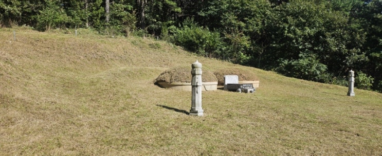  울산울주군두서면인보리산49-8 봉분2기 80평 벌초제초대행("울산벌초대행")