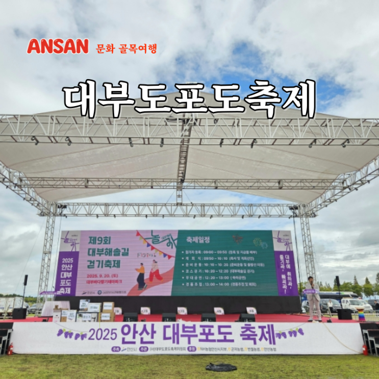 안산 축제 2025년 안산대부포도축제 대부도 갈만한곳