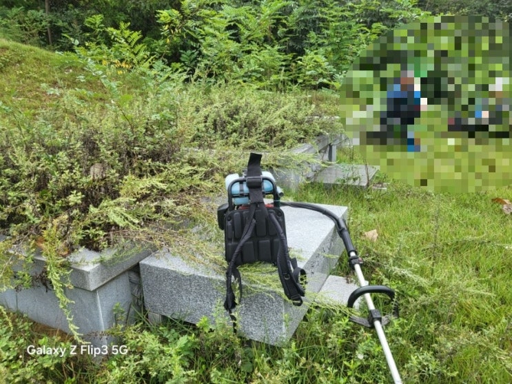  2025년 김천시 남면 부상리 벌초 고인돌장묘개발 #김천벌초 #선산벌초 #구미벌초 #황간벌초 #영동벌초 #성주벌초 #상주벌초 #벌초대행 #벌초 #추석벌초 #손없는날 #윤달