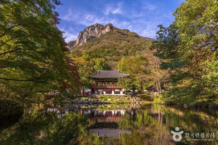  전남 장성 백양사 단풍 명소 살펴보기