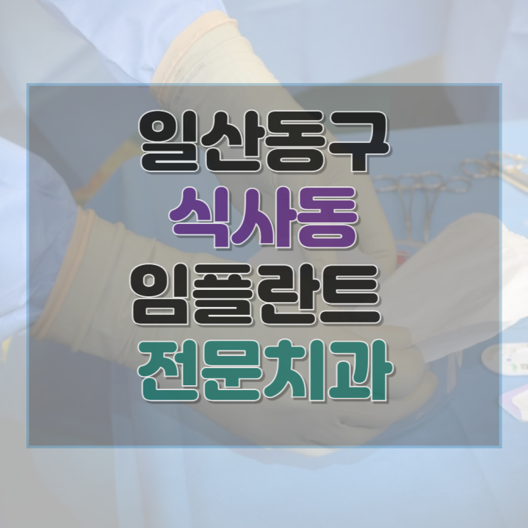  고양시 일산동구 식사동 치과 임플란트 수술 가격 종류 기간 수술 보험 후기 총정리 7곳