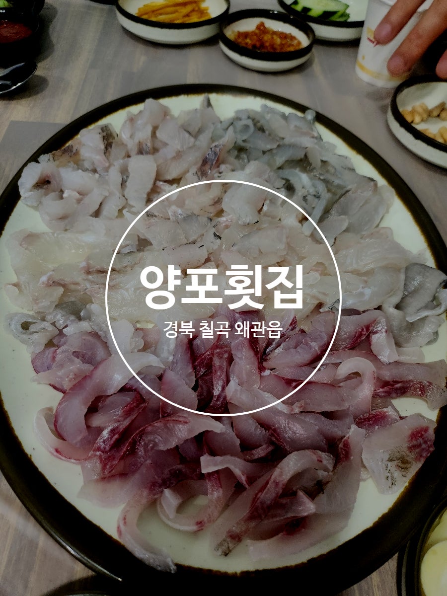 양포횟집 사진 1