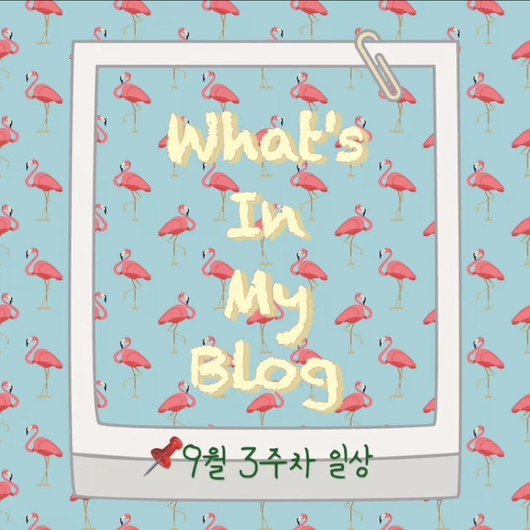  9월 3주 차 일상 정리 왓츠인마이블로그 블챌