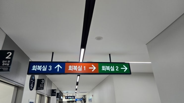  담낭제거수술 부작용 후기 9개월 간의 치료 / ERCP 담췌관조영술
