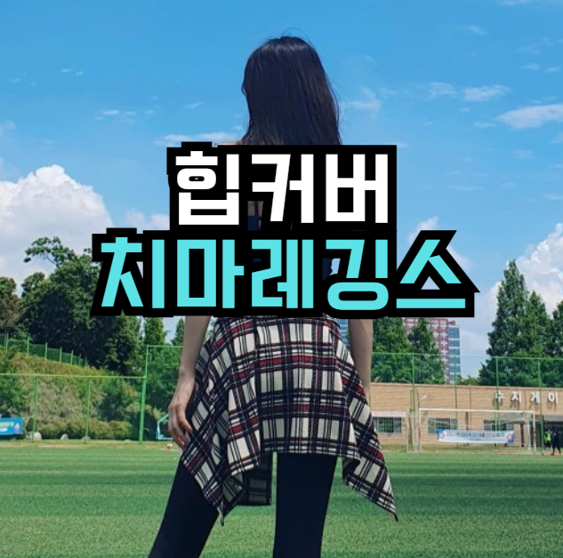 레깅스 힙커버 치마레깅스 | 요가·필라테스·데일리 코디 19% 할인