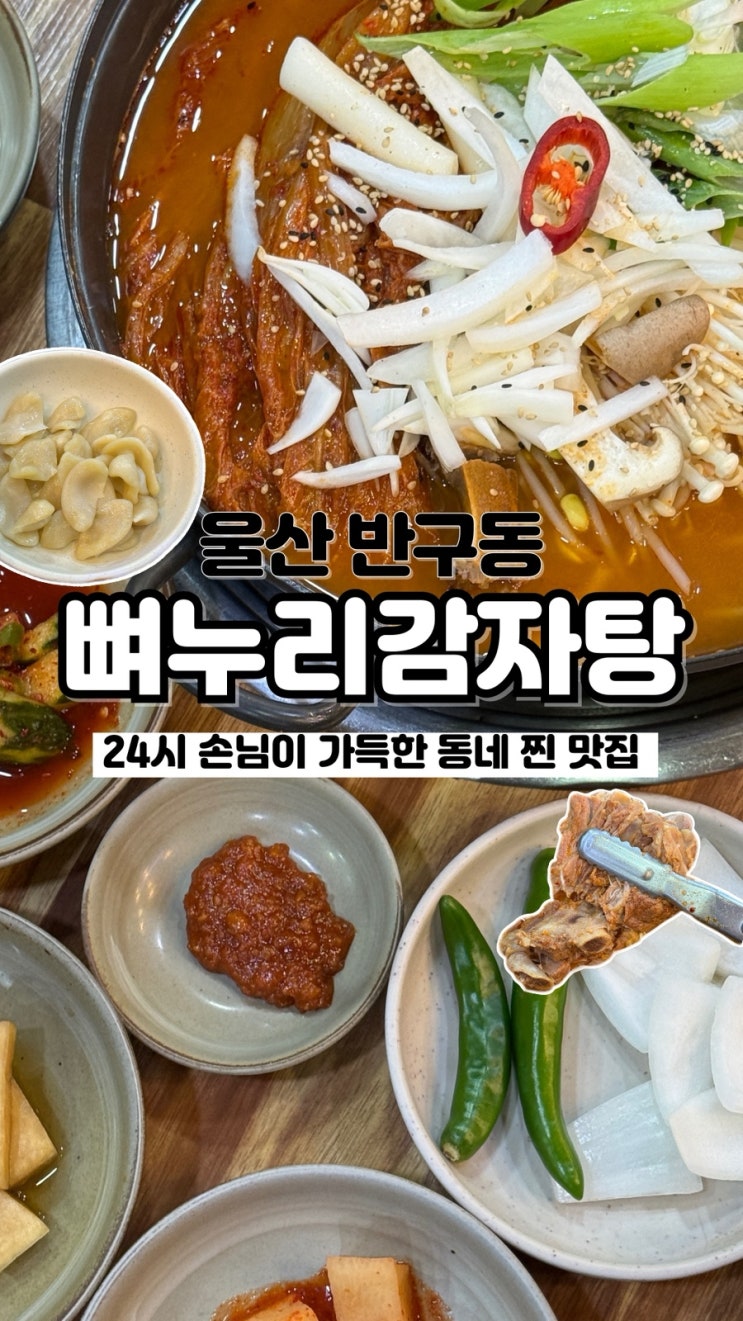  24시 내내 현지인 손님 가득 울산 반구동 해장국 맛집 뼈누리감자탕묵은지