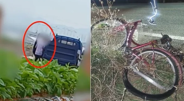   두 번이나 사람 숨지게 한 운전자, 또다시 운전대 잡았다