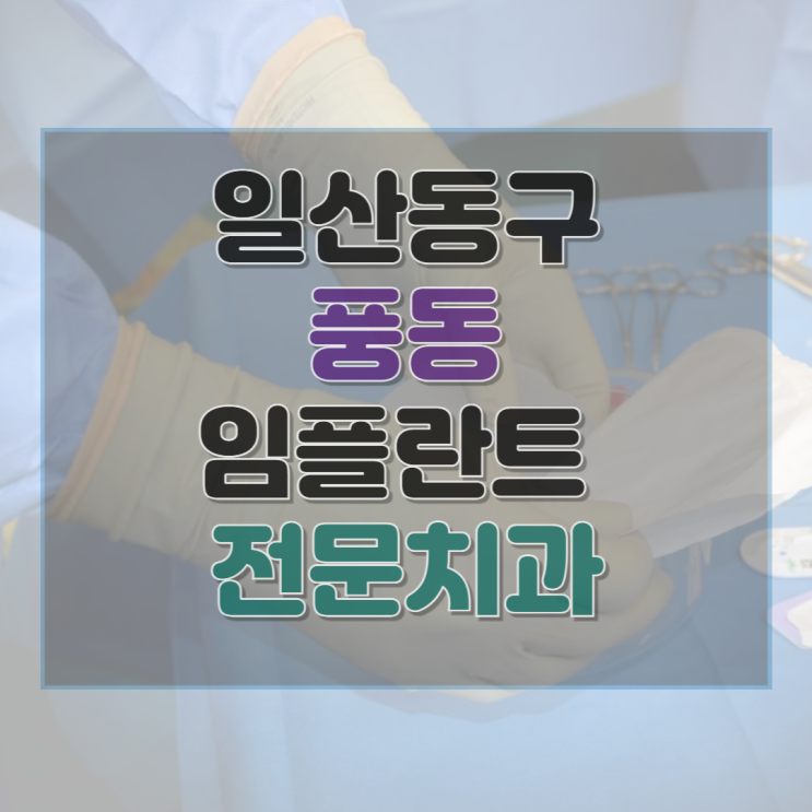  고양시 일산동구 풍동 치과 임플란트 비용 가격 후기 잘하는 병원 10곳 총정리
