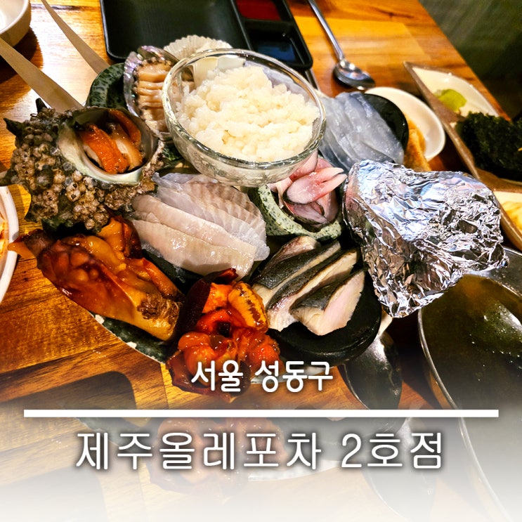  뚝섬역 횟집 추천 제철회 해산물 고등어회 제주올레포차 2호점