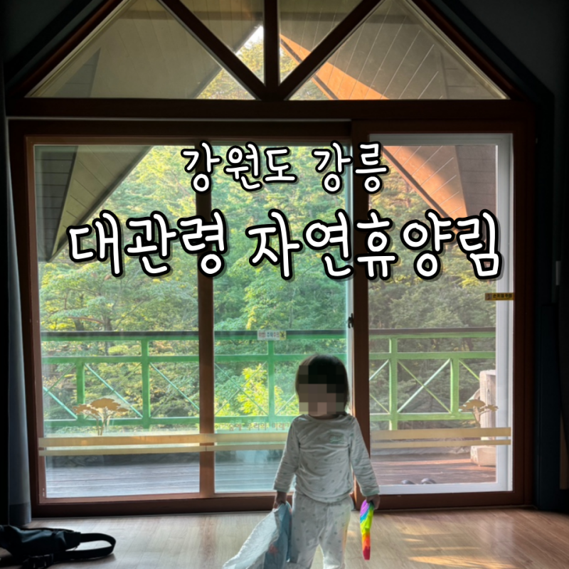강원도 대관령 강릉 아이랑 숙박하기 좋은 곳 대관령 자연휴양림 휴양관 연립동 숲체험