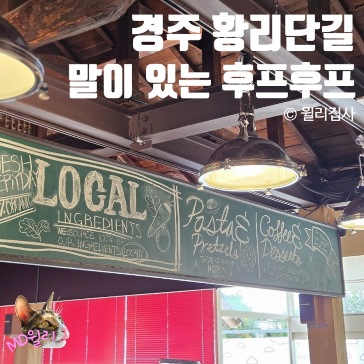  황리단길 애견동반 카페 진짜 말이 있는 경주 후프후프