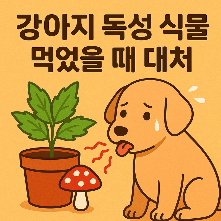  강아지 독성 식물 먹었을 때 대처법