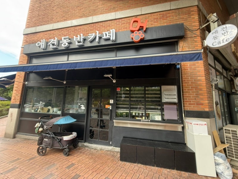 사진 3