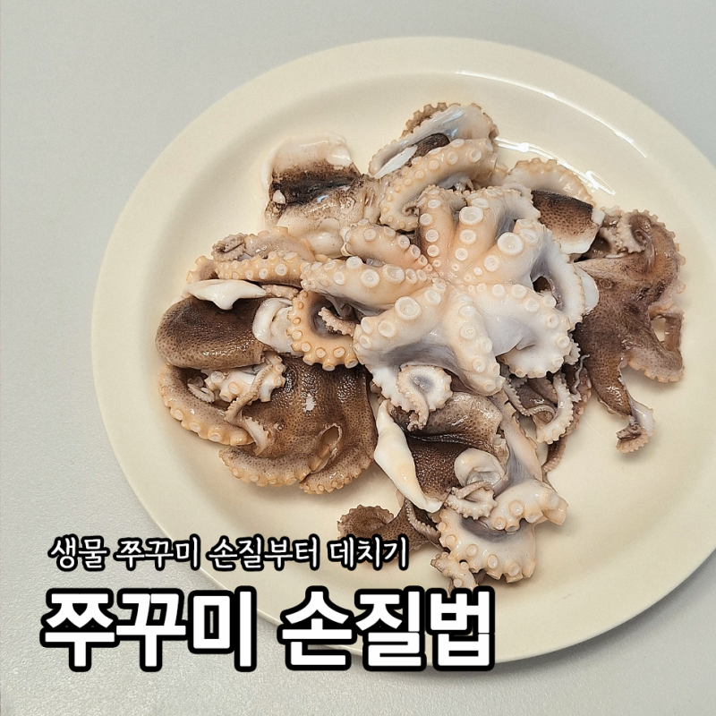 9월 가을제철 생물 쭈꾸미 손질방법과 주꾸미 데치기