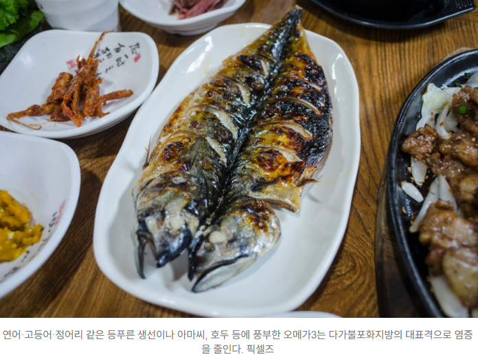  지방, 이제는 ‘피해야 할 적’이 아니다 