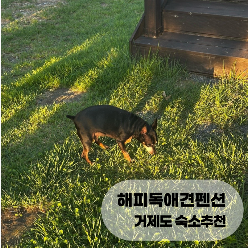 사진 2
