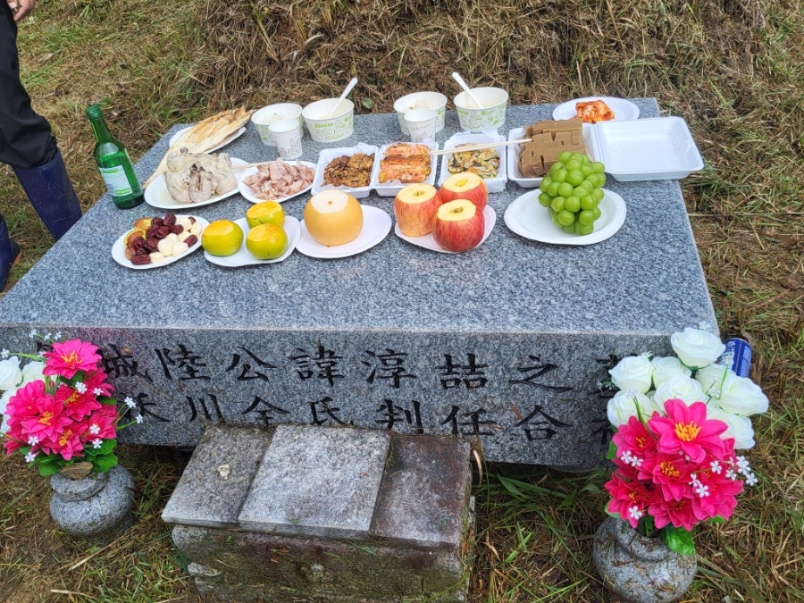시탕뿌리 사진 4