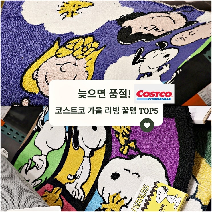  9월 코스트코 신상 홈데코 5가지 스누피러그부터 담요까지