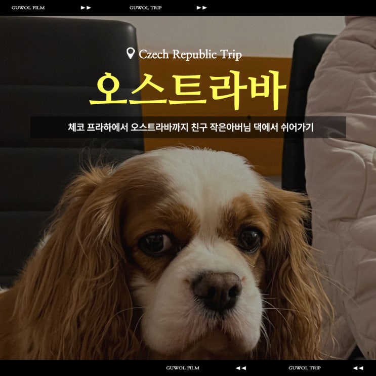  체코 프라하에서 오스트라바까지 친구 작은아버님 댁에서 쉬어가기