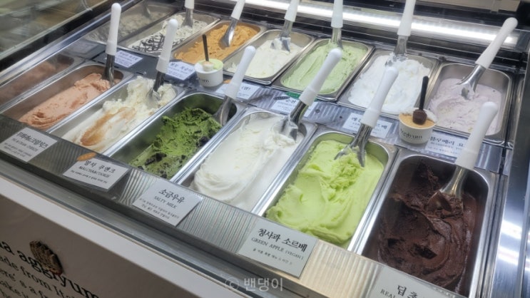  순천역 젤라또 아끼염 n번째 재방문한 맛집, 메뉴O
